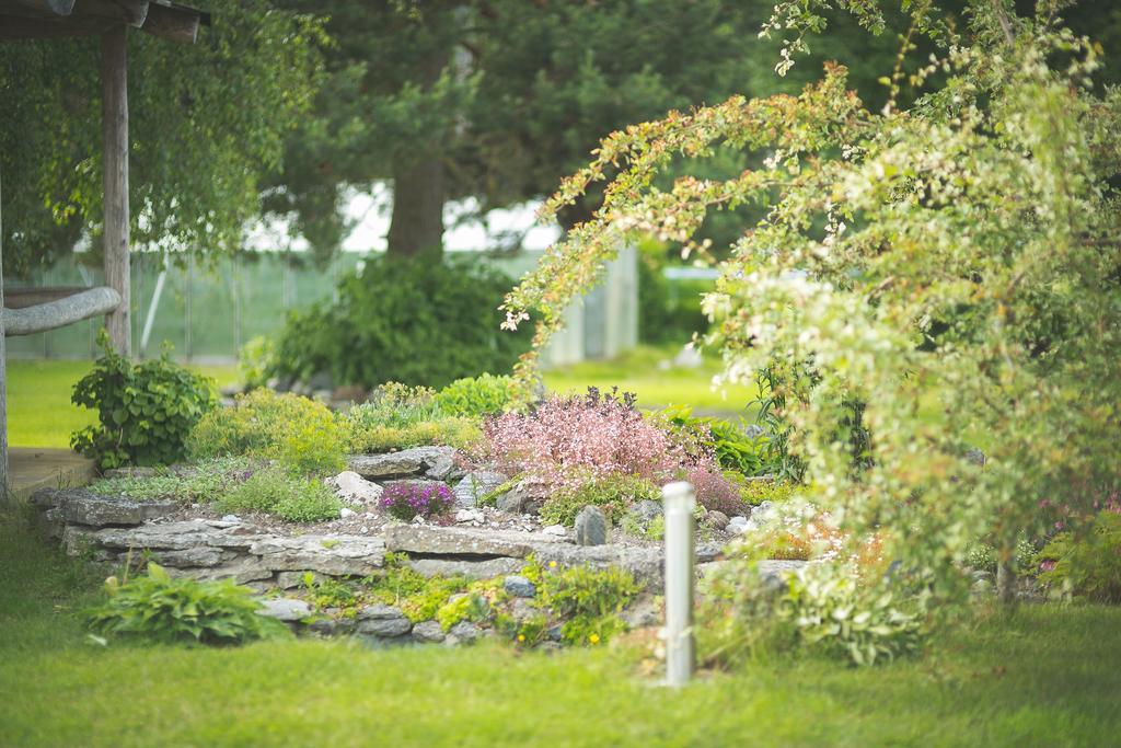 Arina Cottages Nasva Kamer foto